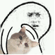 微信图片_20210119175918.gif 4d91829a7e0c353121ee365f04bf5016.gif